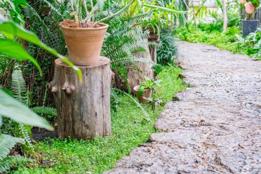 Görüntü, eğri tuğlalı bir bahçe sahnesi gösteriyor, her iki tarafında yemyeşil bitkiler, tahta bir kütük, patika boyunca saksılar, ve bulanık bir alan, bahçenin başka bir bölümünü işaret ediyor veya inşa ediyor.