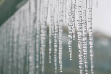 Görüntü, dikey bir yüzeyde asılı duran buz saçakları gösteriyor. Açık havada, sade bir fotoğrafta görülüyor.