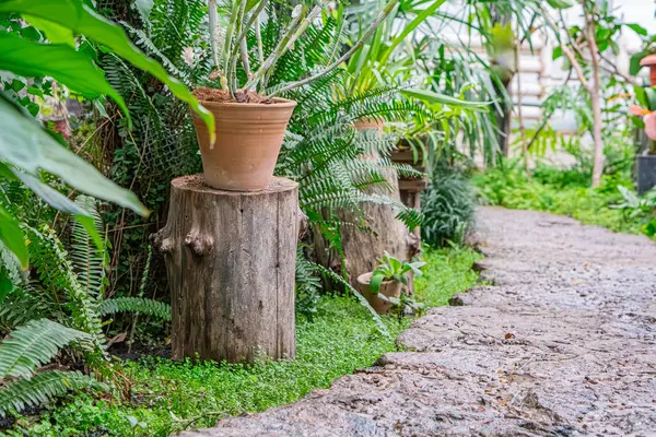 Görüntü, çeşitli bitki ve eğreltiotlarıyla çevrili yeşil bir bahçenin ortasında eğri bir taş yolu gösteriyor. Bir kütük ve iki terasotta saksısı karakter katıyor. Sahne detay açısından zengin ve sükunet dolu.