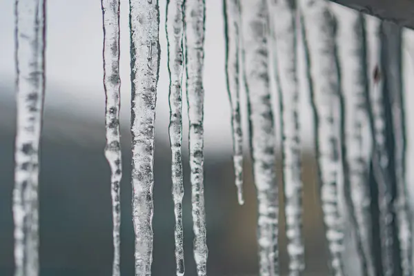 Yoğun bir şekilde paketlenmiş buz saçakları gün ışığında şeffaf bir şekilde dış mekânda asılı duruyor.