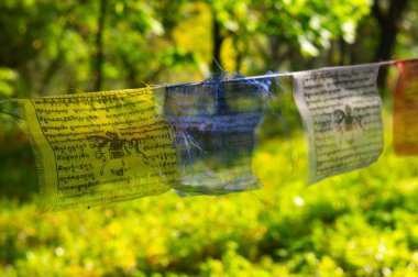 Mavi, sarı, yeşil ve kırmızı tonlarda doğal bir zemin oluşturan çeşitli ruhani inanç ve unsurları sembolize eden dua bayraklarının resmi gizli çekim huzurlu bir anı yakalar.