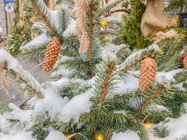 Yapay karla süslenmiş bir Noel ağacı, çam kozalakları ve ışıklarla süslenir. İkinci bir benzer ağaç, halka açık bir tatil düzenini işaret eder. Görüntünün dijital bir bozulma etkisi vardır.