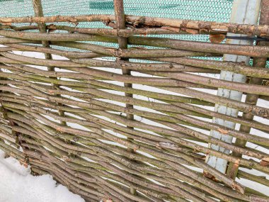 A weathered wooden fence made from driftwood or aged branches, with signs of decay and moss growth in a natural outdoor setting clipart