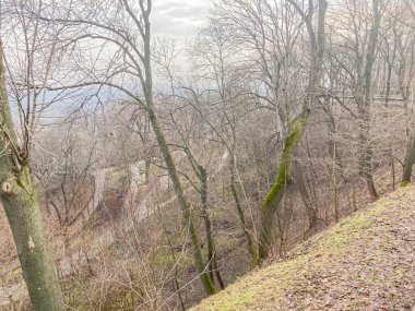 Bereketli, kıvrımlı yolu olan yeşil bir orman ve nehir ya da akarsu üzerinde eski, kemerli bir köprü içeren sakin bir doğal manzara.