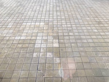 Muhtemelen yeni temizlenmiş ya da yağmış, koyu harç hatları, hafif ışık yansıması, yer döşemelerine odaklanan açı, üst soldaki beyaz duvar çitinin küçük bir kısmı.