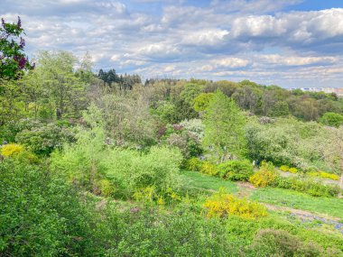 Bereketli çalıların, çiçeklerin, otların, patikaların ve uzun ağaçların olduğu sakin bir bahçe sahnesi parçalı bulutlu bir gökyüzüne karşı hazırlanıyor.