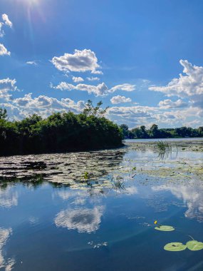 Açık mavi gökyüzü yapısını yansıtan, nilüferlerle dolu bir su kütlesinin sakin bir görüntüsü. Ön planda kısmen su altında kalmış ya da ortaya çıkmış, doğal çevre, uzak beyaz bulutlar ve...