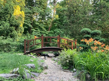 A tranquil, well-maintained garden scene features a dark wooden A-frame bridge over a shallow pond Lush greenery and diverse plant species surround the area, bathed in sunlight clipart