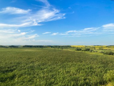 Image shows a natural, undisturbed landscape transitioning from marshy terrain to flatlands under clear skies with scattered light clouds clipart