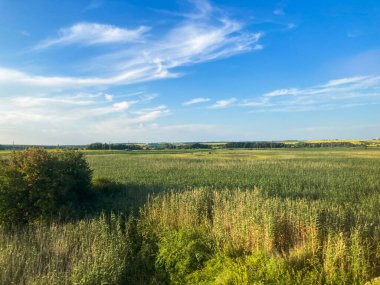 Açık mavi gökyüzü altında kırsal bir arazi, dağınık bulutlar, ön planda uzun otlar ve çalılar yer alıyor ve açık alanlara dönüşüyor.
