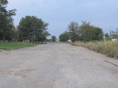 Nadir bitki örtüsü ve elektrik direklerinin ortasındaki ıssız bir yolda bulutlu bir gün.