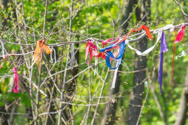 Yapraksız bir ağaçtaki renkli bayraklar koleksiyonu açık bir zemin üzerinde, muhtemelen sonbaharın sonlarında ya da ilkbaharın başında