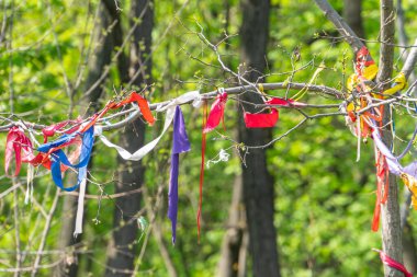 Renkli kurdeleler ağaç dallarını süslüyor, açık havada bir festival ya da anma etkinliğini simgeliyor.