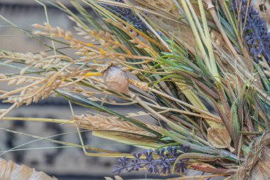 Tahıllı kurutulmuş bitkilerin yakın çekimleri, lavanta ve diğer türde buğday ve yulafların yumuşak odaklı arka plan sanatsal tarzda doğal güzelliği ve organik biçimi vurguluyor.