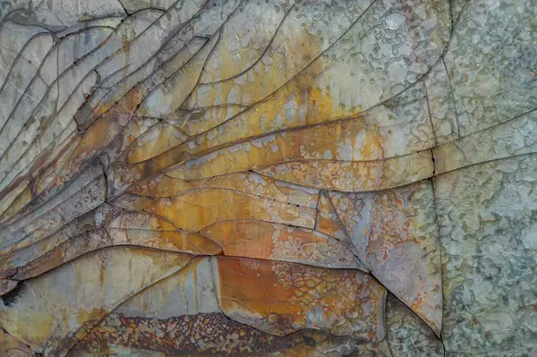 Katmanlı dokular ve renklerin yer aldığı soyut bir sanat eserinin yakın plan görüntüsü, dekatyoksilasyonlu merkezi paslanmış metal, etrafındaki organik formlar yosun, soluk yeşil tonlar, kaba kenar,