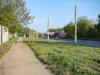 Güneşli bir günün açık hava sahnesinin görüntüsü, parktan veya açık yeşil alandan geçen toprak bir patikayı gösteriyor. Yol hem Sid Kostiantynivka, Ukrayna, 06-15-2013 'teki ağaçlarla birlikte uzak ufka doğru gidiyor.