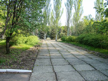 Çimlerle çevrili uzun, güneşli bir yol, uçlarında yaprak döken ağaçlar ve açık mavi bir gökyüzü olan sakin bir park sahnesi halka açık Kostiantynivka, Ukrayna, 06-15-2013 'te sükuneti yakalıyor.