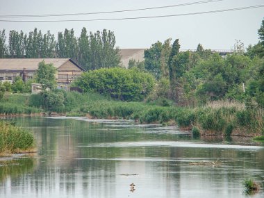 Panoramik bir resimde, yemyeşil ve uzak mesafedeki geleneksel binalarla çevrili sakin bir nehir akışı görülüyor. Gökyüzü na Kostiantynivka, Ukrayna, 06-15-2013 ile harmanlanıyor.