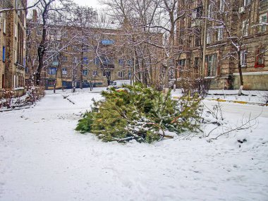 Düşmüş yeşil bir Noel ağacının olduğu karlı bir şehir sokak sahnesi, birden fazla pencere ve balkonu olan binalar, bir sokak lambası, ve Kostiantynivka, Ukrayna 'nın belgesel atmosferi, 01-15-2013
