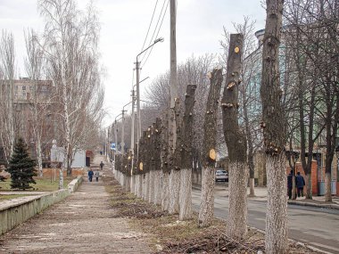 Bir sıra sargılı ağaç, şehir yolunda, bulutlu gökyüzünün altında bir orta şerit çiziyor. İnsanlar komşu kaldırımda yürüyor. Kostiantynivka, Ukrayna, 06-15-2013