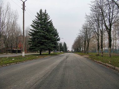Sessiz, karlı ya da tozlu kentsel bir sokak sahnesi çıplak yaprak döken ağaçlar, bir işaret direği, elektrik direği ve uzaktaki binalar Bulutlu gökyüzü sessiz li Kostiantynivka, Ukrayna, 06-15-2013