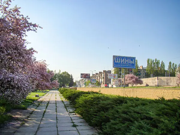 Gri tuğla kaldırımlı sakin bir park sahnesi, çiçek açan ağaçlar, çalılar, uzakta binalar, ve parlak gün ışığı Kostiantynivka, Ukrayna, 06-15-2013