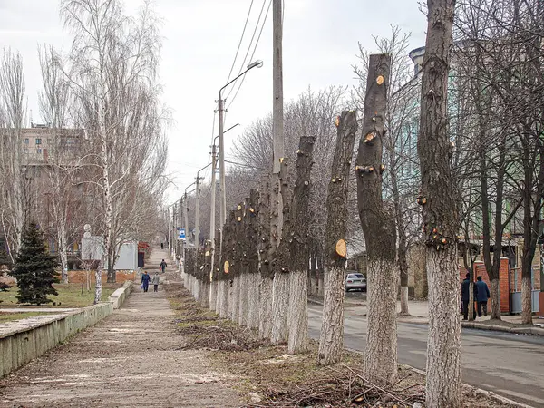 Bir sıra sargılı ağaç, şehir yolunda, bulutlu gökyüzünün altında bir orta şerit çiziyor. İnsanlar komşu kaldırımda yürüyor. Kostiantynivka, Ukrayna, 06-15-2013