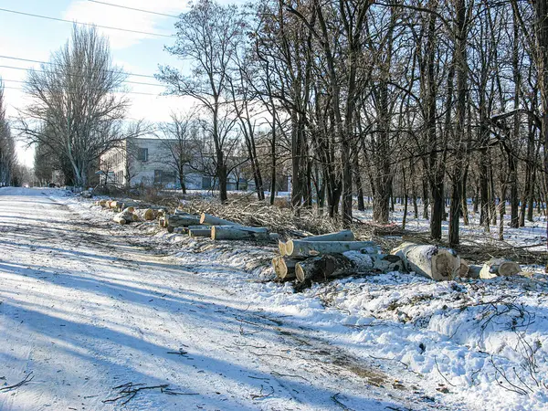 Görüntü, Kostiantynivka, Ukrayna 'daki 01-15-2013 tarihli çıplak yaprak döken ağaçlara karşı uzak bir bina görülebilir.