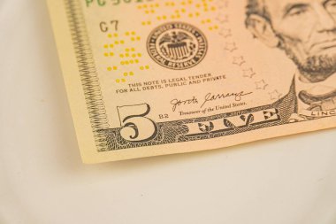 George Washingtons 'un portresi, Amerikan sembolleri ve kağıt para biriminin dokuma kalitesinin sergilendiği bir Amerikan dolarının yakın plan görüntüsü.