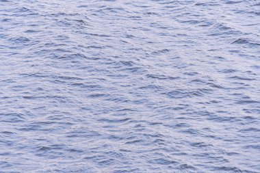 Sakin suları ve yumuşak dalgaları olan sakin bir okyanus manzarası. Rahatlamayı destekleyen ya da doğal alanların önemini vurgulayan.