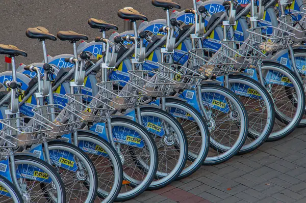 Benzer markalı bisikletlerin düzenli bir sıra görüntüsü, muhtemelen bisiklet paylaşımı veya kiralama servisinin bir parçası, kentsel bir ortamda asfalt bir alana park edilmiş, organizasyonu destekleyen, erişimi olan Kyiv, Ukrayna, 09-15-2024