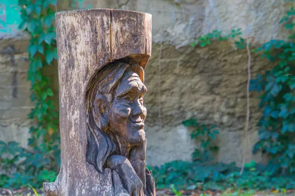 Görüntü, üzerinde ayrıntılı bir profil olan eskimiş ahşap bir direğin açık hava heykelini gösteriyor. Sanat eserleri yemyeşil bir bahçede ya da Ukrayna 'nın başkenti Kyiv' de, 09-15-2024 'te yer alıyor.