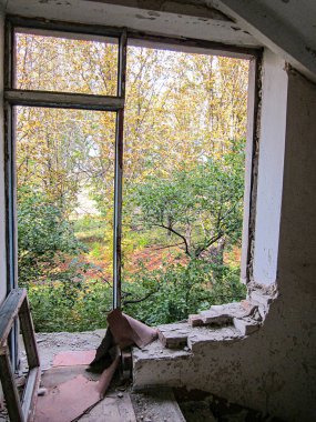 Görüntü, ağaçlık bir bölgenin yakınındaki hasarlı bir odanın içini gösteriyor. Güneş ışığı içerisinden geçmiyor. Metin veya sanatsal öğeler mevcut değil.