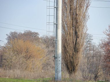 Görüntü, elektrik hatlarının, elektrik santralinin ya da elektrik direğinin kapalı bir gökyüzüne karşı sonbahar yeşilliği olan ağaçlarla çevrili samimi bir fotoğrafını gösteriyor.