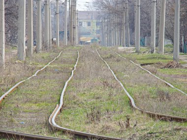 Terk edilmiş bir demiryolu hattı, bitki örtüsüyle kaplanmış, elektrik direkleri ve telleriyle çevrili, şehir veya altyapı ortamında, bulutlu bir gökyüzünün altında.