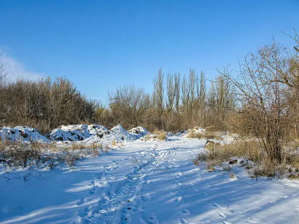 Bir patika, ayak izleri, çıplak ağaçlar ve enkaz yığınları ile karlı bir manzara, kış ya da inşaat çalışmalarını akla getiriyor açık gökyüzü, soğuk ama güneşli bir gün