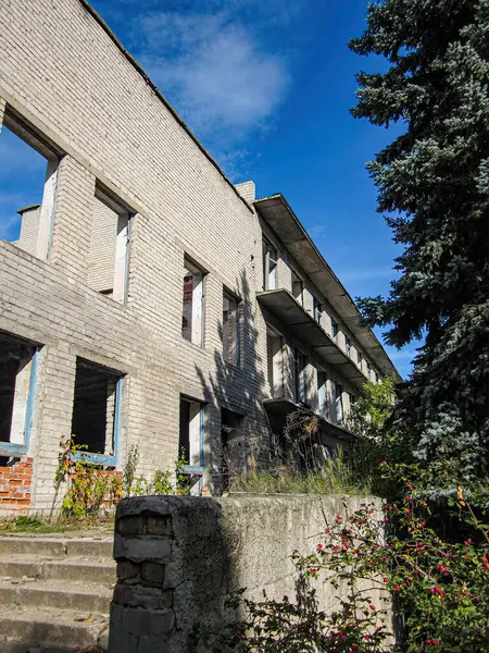 Terk edilmiş ya da kullanılmayan beton bina, aşırı gelişmiş bitki örtüsü, görünür pencereler girişe giden kırık merdiven boşluğu, dağınık bulutlu açık gökyüzü.