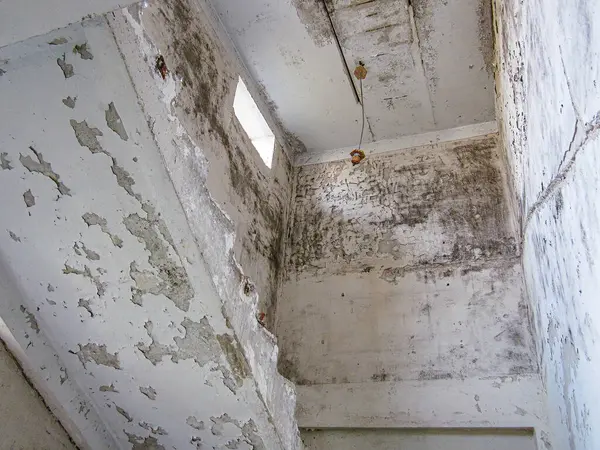 Resim, bakımsız, harap olmuş, boyalı, çatlamış tavanlı ve mobilyasız bir odayı tasvir ediyor. Küçük bir pencere, doğal ışığı gösteriyor ama perdesi ya da perdesi yok.