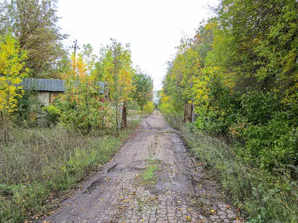 Sonbahar renklerinde ağaçlarla kaplı asfaltsız bir yol ve bulutlu bir gökyüzünün altında arka planda küçük bir kulübe.
