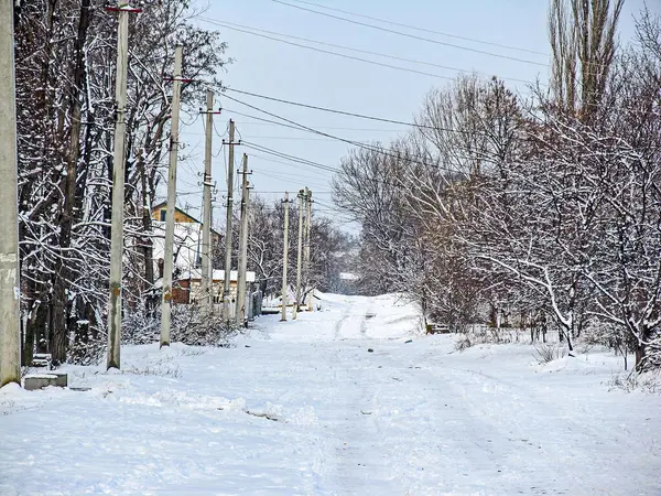 Şiddetli karlı bir kış sokağı manzarası, uzaklarda kaybolan uzun, karlı bir yol, açık renkli bir maddeden oluşan elektrik direkleri, sessiz durgunluk, ince bir şerit boyunca seyrek bitki örtüsü.