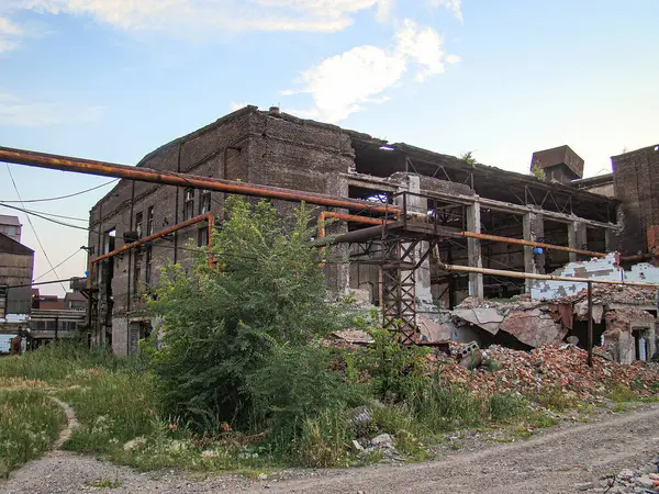 Terk edilmiş, harap olmuş sanayi binası. Çürümüş gökyüzü, yemyeşil bitki örtüsü ve enkaz üzerinde büyüyen çimenler. Görünürde kimse yok.