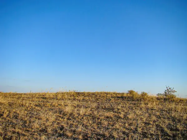 Görüntü engin, güneşli savanasemi ovalarını gösteriyor. Nadir bitki örtüsü, kayda değer bir yapı yok. Ufuktaki uzak ağaç çizgisi.