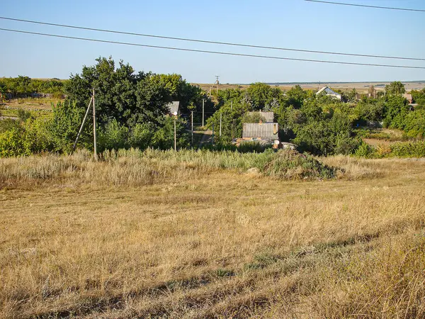 Açık bir gökyüzünün altında kırsal bir arazi. Çimenli bir tarla var. Orta zeminde sarı bitkiler, ağaçlar ve çalılar var.