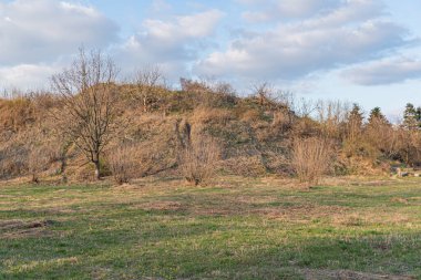 Dağılmış bitki örtüsü ve parçalı bulutlu gökyüzü ile açık, doğal alan görüntüsü, potansiyel olarak reklam sükuneti ve sükuneti için kullanılır.