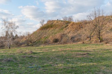 Resim, yemyeşil çimenler, açık gökyüzü, yumuşak tepe, seyrek bitki örtüsü, dağınık ağaçlar ve rahatlama, doğa, özgürlük ve kırsal yaşam duygularını çağrıştıran huzurlu bir kırsal manzara tasvir ediyor.