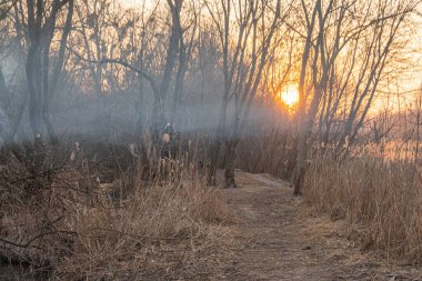 Sakin bir toprak yol, bataklık alanından geçer. Sıcak, parıldayan günbatımının altında uzun otlar vardır. Doğa, yalnızlık ve açık hava maceraları için mükemmel duygular uyandırır.