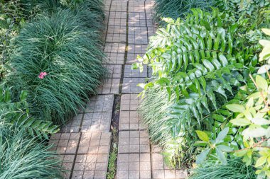 Bereketli yeşilliklerle çevrili, gündüz vakti çekilmiş iyi korunmuş bir yol, doğa, sükunet, rahatlama, açık hava yaşam tarzı temalarını iletebilir.