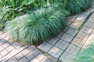 Yeşilliğe giden, ön plan yeşillik ve tuğla işçiliğine odaklanan, doğanın temaları, sükuneti veya geleneksel işçilikle ilişkili lüksü çağrıştıran kaldırım taşı yolu tasviri