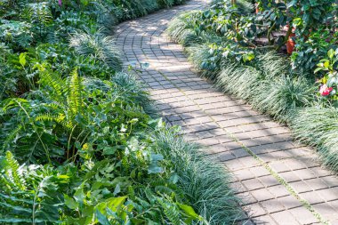 Huzurlu bir bahçe yolu yemyeşil alanda kıvrılır, sakin bir keşfe davet eder, bu da samimi bir deneyim olduğunu gösterir.