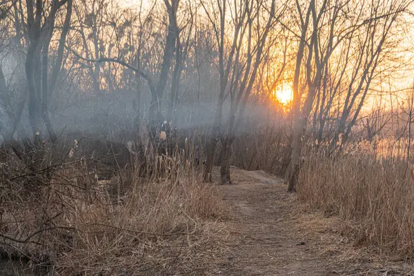 Sakin bir toprak yol, bataklık alanından geçer. Sıcak, parıldayan günbatımının altında uzun otlar vardır. Doğa, yalnızlık ve açık hava maceraları için mükemmel duygular uyandırır.